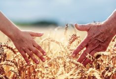 Holding hands in the wheat field.