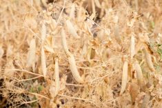 (Nathan4847/iStock/Getty Images)