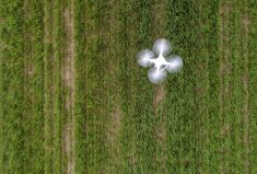 Photo: jevtic/iStock/Getty Images
