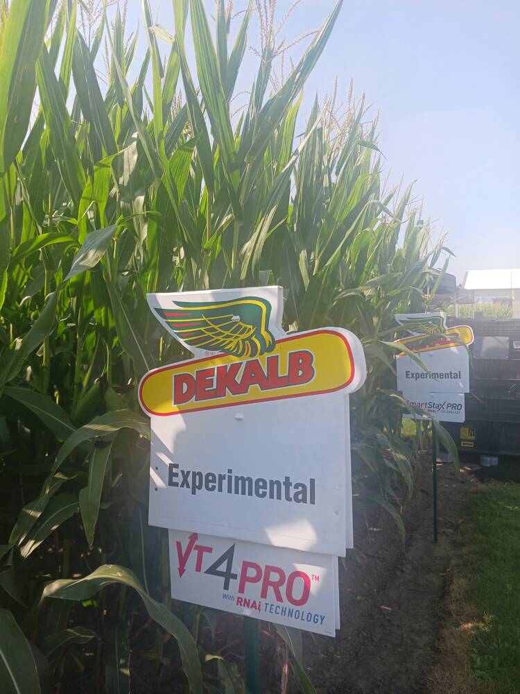 Plot sign from COFS 2024. Photo: Gord Gilmour
