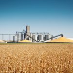 Coming within market expectations was essentially the central theme in the September supply and demand report (WASDE) from the United States Department of Agriculture released on Sept. 12.