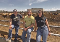 Les Wall and Jared and Karleen Clark of KCL Cattle stand in front of a pen of feeder cattle. The family is working with experts to help the farm transition go smoothly.