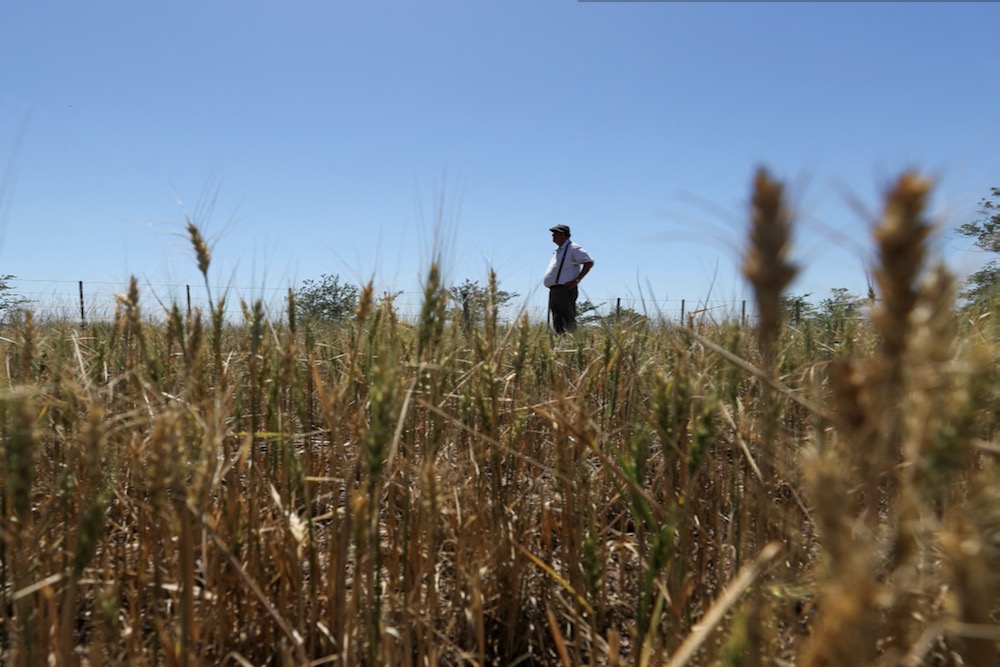 (File photo: Reuters/Agustin Marcarian)
