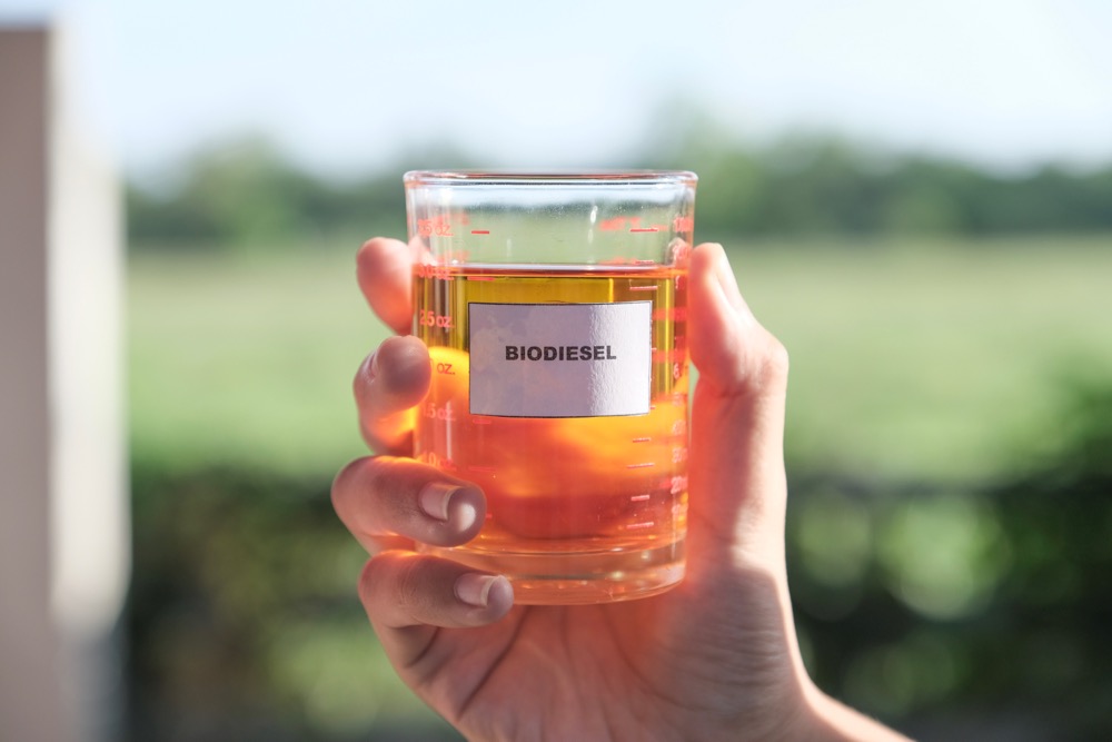 Implementation of higher biodiesel mandates in Indonesia, the world’s biggest palm oil producer, is likely to tighten supplies of the vegetable oil, a leading industry analyst said on Tuesday. Photo: Natt Boonyatecha/iStock/Getty Images
