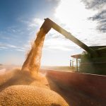 Combining in Manitoba advanced 12 points at 85 per cent complete for the week ended Oct. 7. While some crops made great amounts of progress, others did not. Photo: File