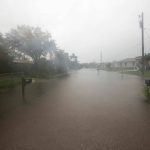 Hurricane unlikely to fuel long-term fertilizer price increase, analyst says