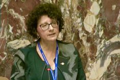 Abbotsford-Mission MLA Pam Alexis speaks on B.C. Agriculture Day in the provincial legislature on Oct. 25, 2022. (Legislative Assembly Of B.C. video screengrab via Facebook)