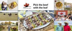 Promotional image for Canada Beef's "Pick the beef with the leaf' campaign.
