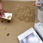 Producers can ask the Canadian Grain Commission to do a sample analysis when they disagree with an elevator. (CGC photo)