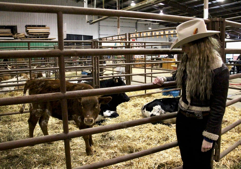 Georgie Evans and her Texas Longhorn heifer competed at Canadian Western Agribition for the first time this year.