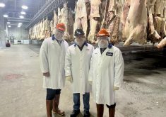 L-R: Eric Bienvenue, Cargill manager Lui Paolini and Canada Beef executive vice-president Mark Klassen at Cargill facilities in Guelph, Ont.