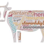 One of Klopatek’s projects while attending the University of California, Davis, was to ask U.S. ranchers “What does sustainable ranching mean to you?” She put the responses together in this word cloud in the shape of cow, with the size of type reflecting how often the word was used. Her full report is: Klopatek, Sarah C., et al. 321 Rancher Motivations for Joining Sustainability Programs. Journal of Animal Science 101.Supplement_3 (2023): 253-254.