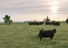 Gilchrist Farms receives Canadian Commitment to Excellence Award