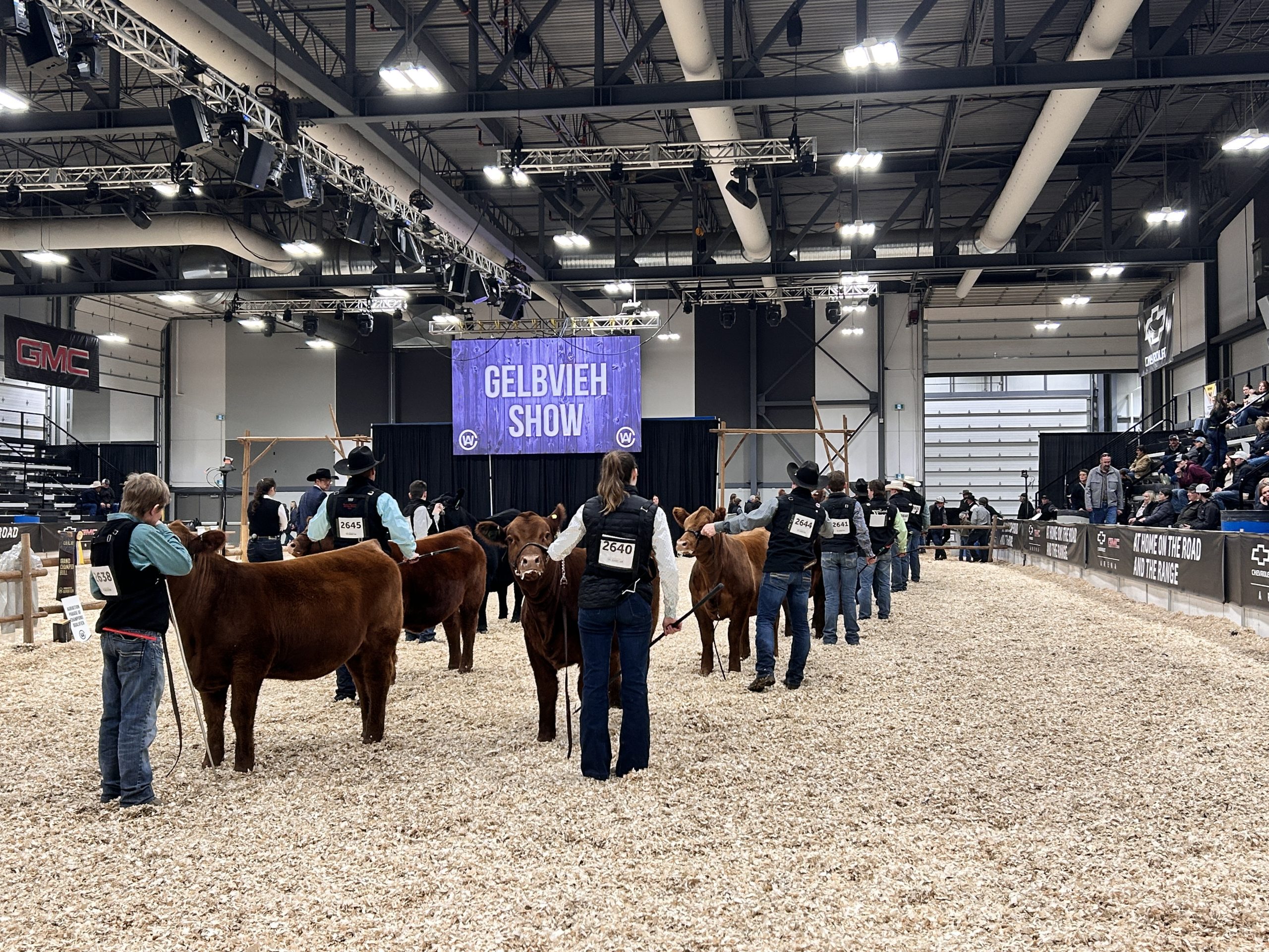 Agribition 2024: Show and sale results are starting to come in