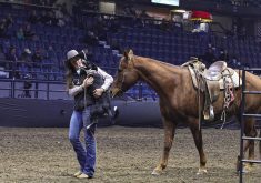 When Caitlyn Mastad became the first winner of the mounted cattle dog championships, her two-year-old border collie, Sage, couldn't help but leap into Mastad's arms after all the excitement.