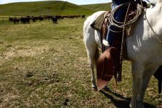 VIDEO: A strategic approach to risk on the ranch