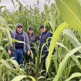 Graeme Finn (left) and Kelly Boles (middle) in a field of corn in Mongolia. Both are consulting along- side Telus Agriculture for Metagro to advance agricultural practices in Mongolia.