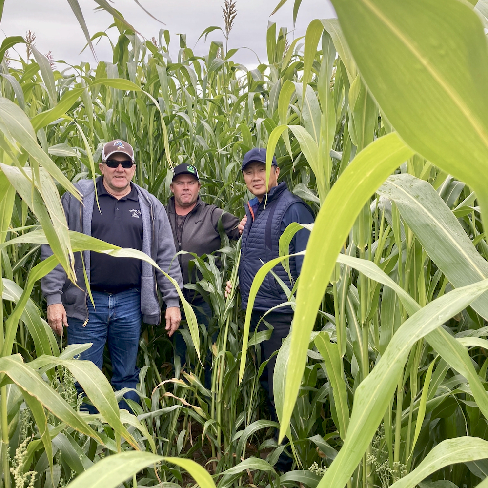 Graeme Finn (left) and Kelly Boles (middle) in a field of corn in Mongolia. Both are consulting along- side Telus Agriculture for Metagro to advance agricultural practices in Mongolia.