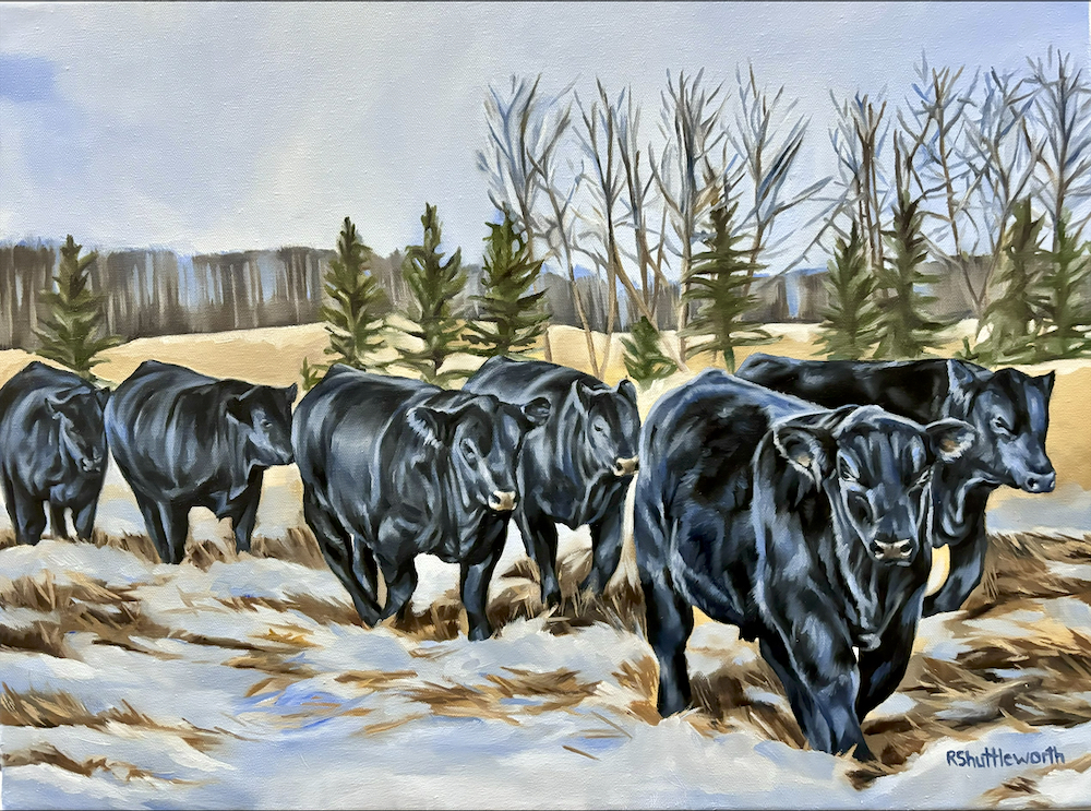 The cover art on our December issue of Canadian Cattleman entitled, 'The Boys,' by artist Rebecca Shuttleworth.