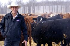 Dave Solverson, past president of the Canadian Cattle Association.
