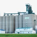 Viterra’s elevator north of Forrest in western Manitoba. PHOTO: ALEXIS STOCKFORD