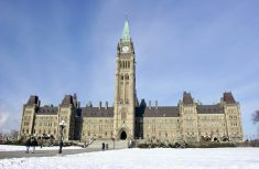 The Parliament of Canada in winter - Ottawa