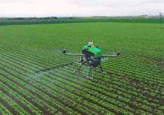 While the use of spray drones for chemical application is still illegal in Canada, research on how to use them efficiently and effectively is ongoing. |  Screencap via vimeo.com/GuardianAg

