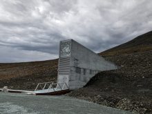 Entry way to the Global seed vault in Svalbard. Photo: BDPhoto/iStock/Getty Images