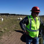 Chad Raines looks at the solar farm where his sheep graze in Haskell, Texas, U.S. December 2, 2024. Raines gets contracts with solar farms across the country, such as in Arkansas, Louisiana and Texas; to have his sheep graze and maintain the vegetation. REUTERS/Annie Rice