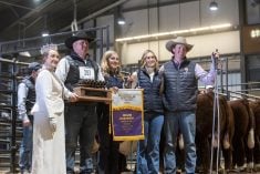 A year after winning Reserve Champion Carload of Hereford bulls with their first NWSS carload, Harvie Ranching took home top honours.