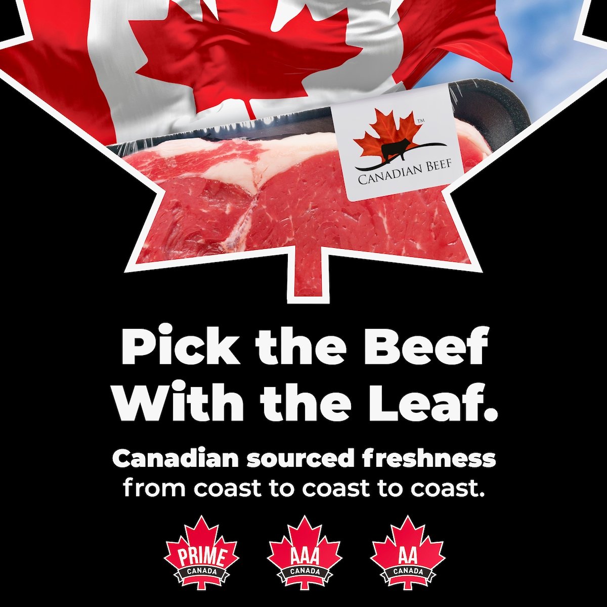 Campaign marketing creative that Canada Beef is using to support Canada’s beef sector and its producers.