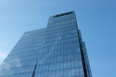 Photo: Liam O’Connor
