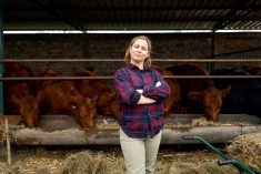 A woman in a plaid shirt standing confidently in front of a cattle pen, with several cows feeding in the background