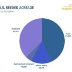 More corn to be seeded USDA forecasts