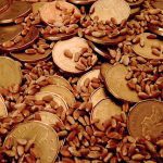 ‘There isn’t a lot of pricing available out there for old or new crop on a lot of commodities.’ – Scott Shiels. Photo: Thinkstock