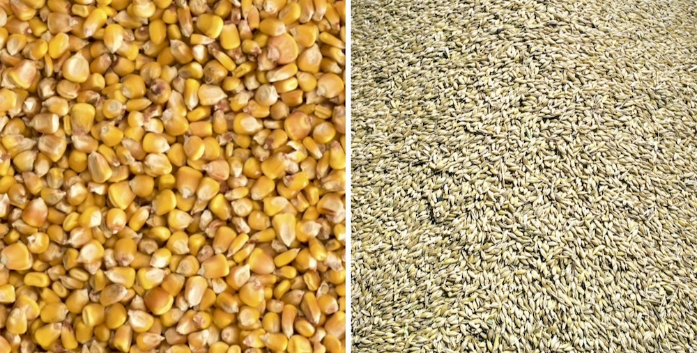 Both Canadian barley and U.S. corn markets will be extremely sensitive to weather conditions and yield projections.