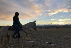 a woman sitting atop a white horse at sunrise