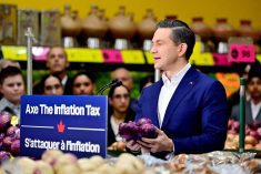 Conservative platform promises tax cuts, farmland protection
