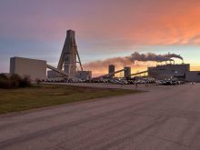 Nutrien paints bullish fertilizer industry picture despite poor Q1 results