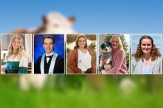 Left to right: Codee Kopelchuck, Daniel Schuepbach, Emma Lees, Megan Nicholas, Emma Cross.