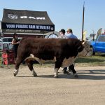 5 features livestock producers won’t want to miss at Ag in Motion