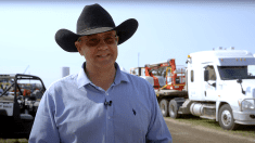 Find out what’s new for livestock producers at Ag in Motion this year