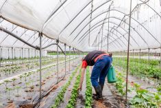 Photo: Deimagine/Getty Images Plus