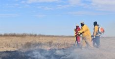 two people conducting a prescribed burn of grasses