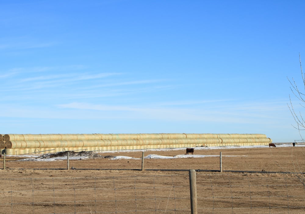 a stack of hay bales in Alberta, Canada