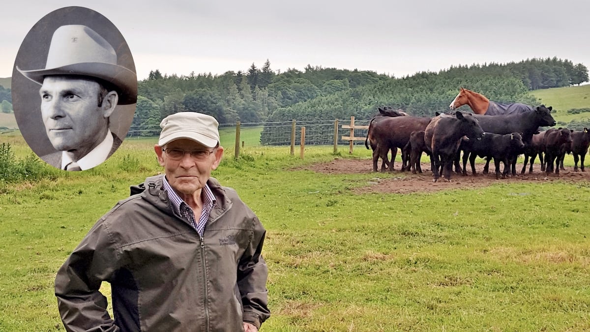 cattle producer Bud McBride standing in a pasture with cattle and a horse in the background