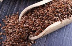 Most organic crops rose in price compared to December, but only some of them saw their premiums go up. Photo: Thinkstock