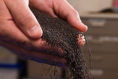 (Alfio Manciagli/iStock/Getty Images)