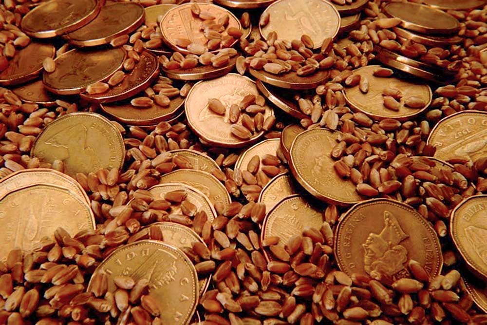 ‘There isn’t a lot of pricing available out there for old or new crop on a lot of commodities.’ – Scott Shiels. Photo: Thinkstock