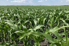 Corteva raises annual profit forecast after strong first-half performance